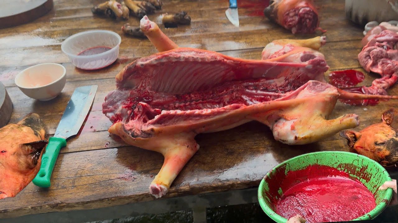 Eat Dog Meat, Dog Meat , Ăn Thịt Chó