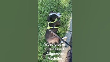 Wozu gibt es Business/IT Alignment Modelle?