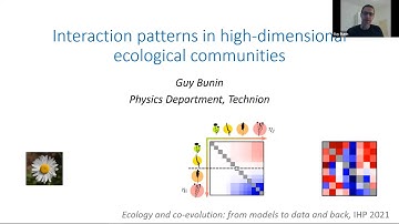 Interaction patterns in high-dimensional ecological communities