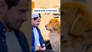 Dog is Men’s best friend