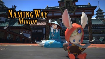 FFXIV: Namingway Minion