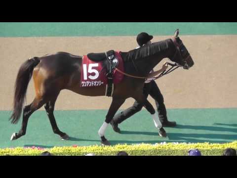 2017 第131回 目黒記念(ＧＩＩ) パドック 現地映像 フェイムゲーム