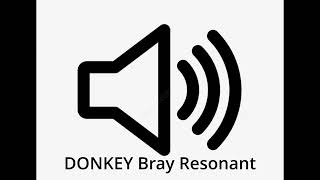 DONKEY Bray Resonant | SOUND EFFECT screenshot 4
