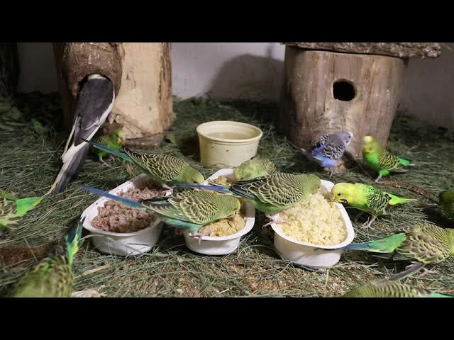 Анальды секс машинасы порно Олар әйелін қолдарынан келгеннің бәрімен ұрады.