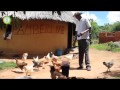 Bringing Technology to Rural Zimbabwe - Svosve Village Marondera