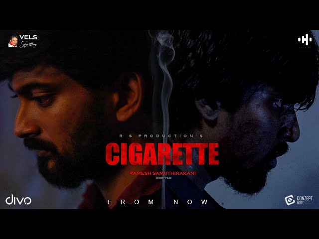 cigarettes after sex roblox id code Roblox Image Library Code Id