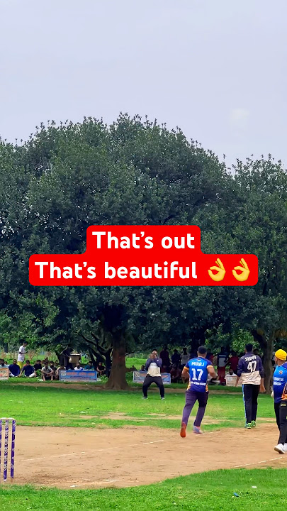That’s outThat’s beautiful 👌👌 #viralvideo #crick724 #cricketfan #cricketlover #bdcricket4u
