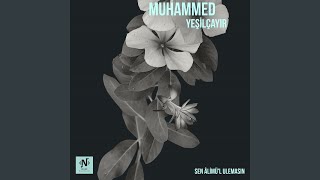 Sen Âlimül Ulemasın