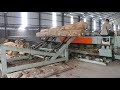 How to make plywood complete plywood production line plywoodmachine woodworkingmachine