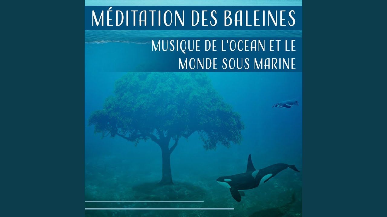 Musique d’ambiance - YouTube