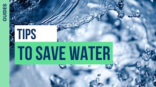 Tips to Save Water | THRIVE