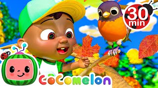 Autumn Leaves  | CoComelon Nursery Rhymes & Kids Songs