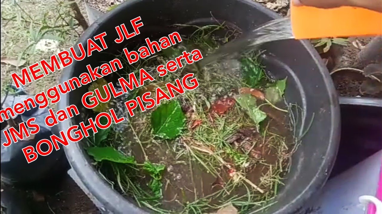 membuat JLF ( Jadam Liquid Fertiliser ) alias POC ala JADAM