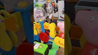 KevNish Fun Play 🦄🐎🐒🐘 #KevNish #KidsFun #TamilVlogs #Shorts #kevnish #kidsfun #bebefinn