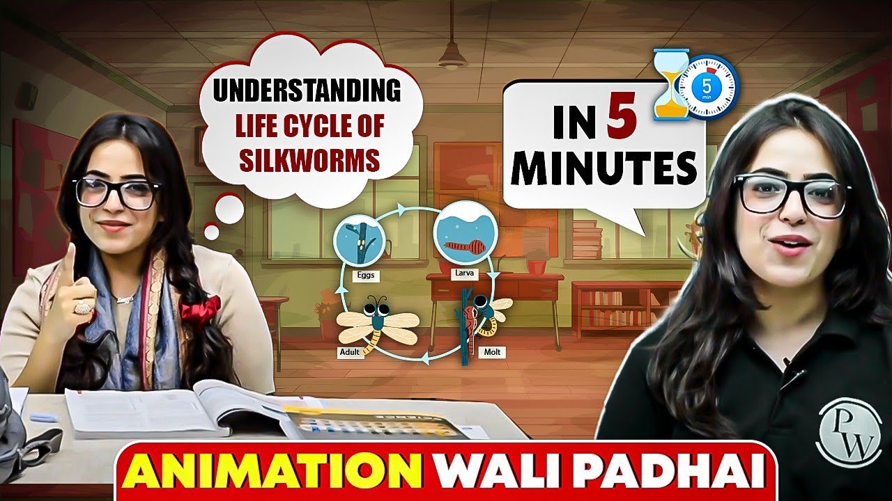 Understanding Life Cycle of Silkworms 😍 How Silk Fibre is Made ? - YouTube
