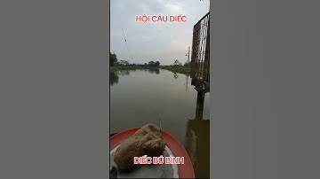 Diếc bú bình sách giáo khoa không ý nghĩa. Ae kiếm cái đồng hồ bấm giờ 5p giật 1 lần nhé #hoicaudiec