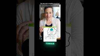 7 Secrets to a Native Russian Accent: Part 1! 🇷🇺✨