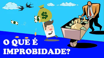 Quais os tipos de controle de improbidade administrativa?