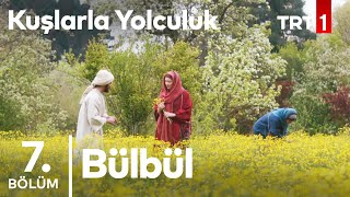 Bülbül Kuşlarla Yolculuk 7 Bölüm