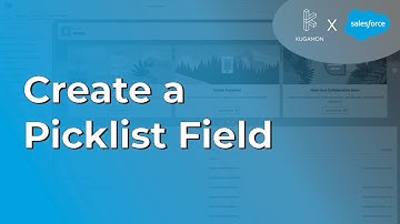 Create a Picklist Field in Salesforce #admin #tips