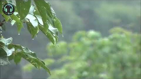 Relaxing reading Quran to the sound of rain   Surah 55 Ar Rahman   Omar Hisham