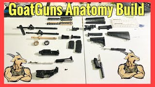 GoatGuns Anatomy Build