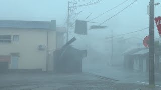 Violent Wind, Flying Debris And Damage  Typhoon Jebi Hammers Japan 4K Stock Footage
