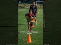David alaba's rise