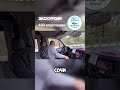 33 ВОДОПАДА - полный обзор экскурсии на канале. #33водопада #кавказскоезастолье #экскурсия #Сочи2025