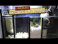 COMO TENER EL ACUARIO SIN ALGAS Y CON PECES SANOS||||||😲🐟🐠