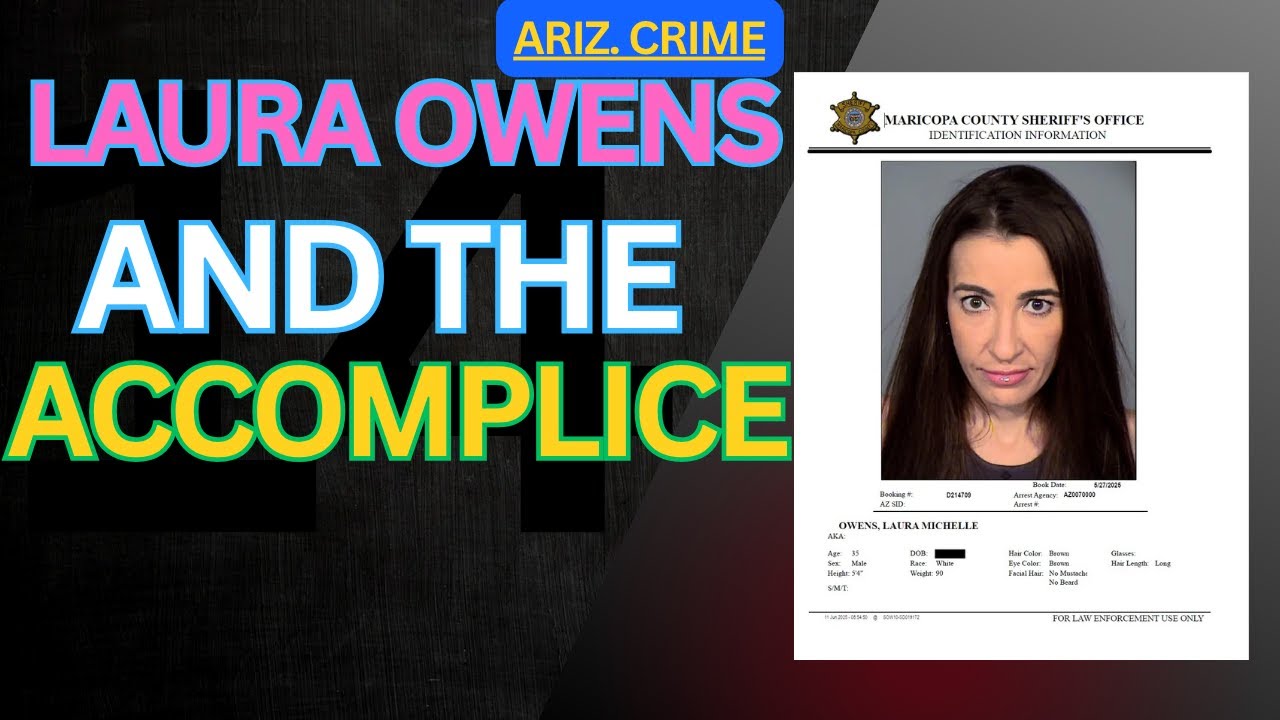 Laura Owens and the Accomplice | GingerBites - AI distills more David Gingras Blogs