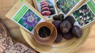 Bijzondere Zaden Voorbereiden Op Kiemen, Hoe Doe Je Dat? Uitlegvideo Onszaden