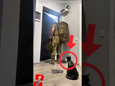 لم تكن تعلم أنه سيرحل