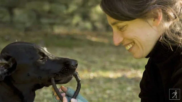 Learn to understand your dog with author Alexandra...