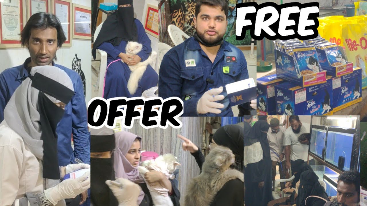 Free Vaccination Camp for Cat in King's Fish World Hyderabad