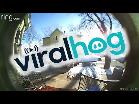 Delivery Driver Loses His Cool over Heavy Package || ViralHog