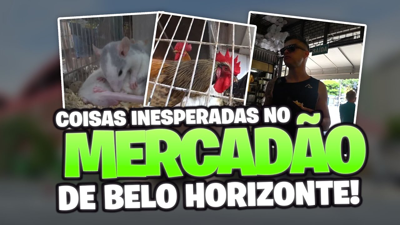 MOCHILOZZI - O DIA QUE FOMOS VISITAR O MERCADÃO DE BELO HORIZONTE!