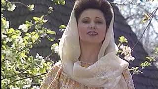 Muzica populara romaneasca - Mioara Pitulice