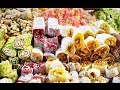 Где купить дешевые сувениры и сладости в Стамбуле