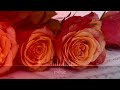Liszt - La Campanella (100,000 special), cover by @Rousseau ∙ upmusic ∙ piano