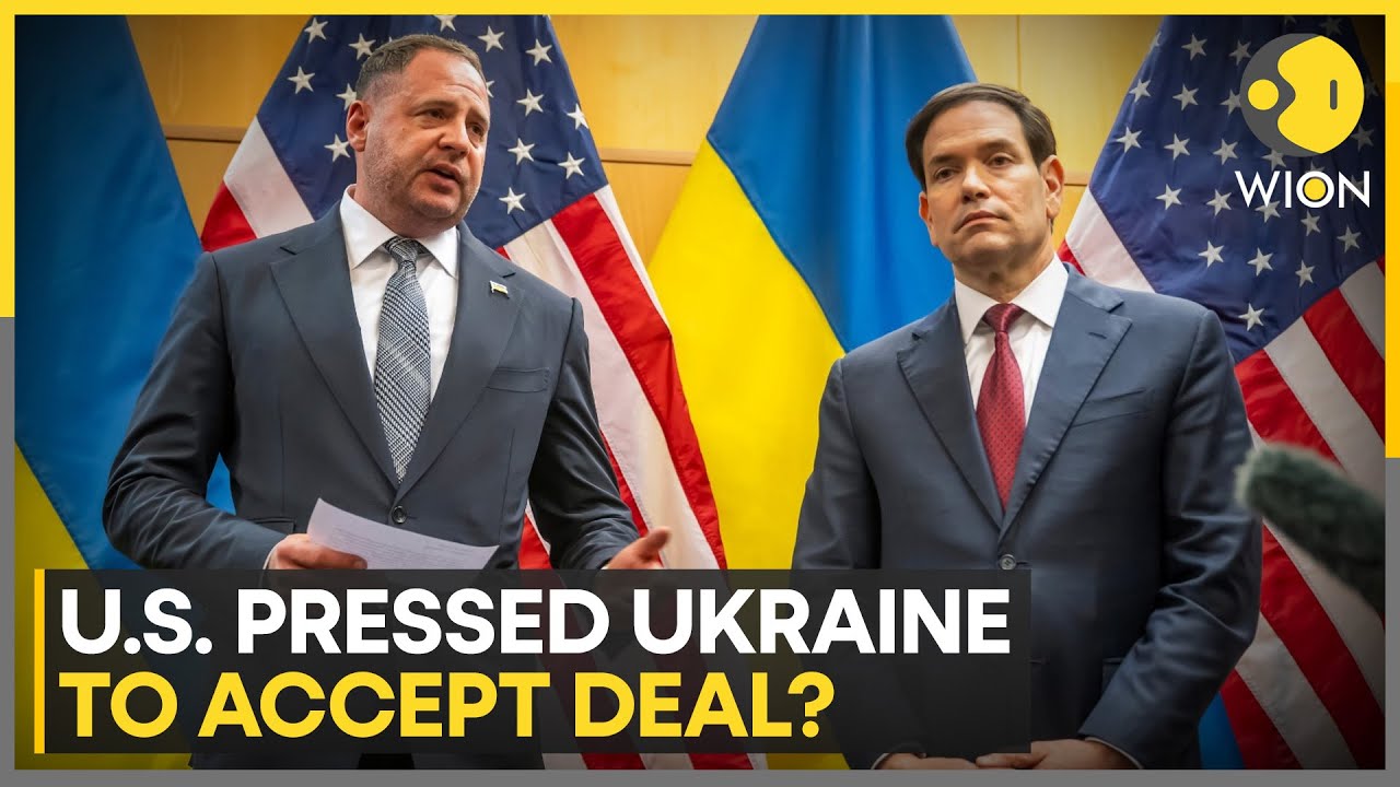 Russia-Ukraine War: Zelensky Says Sensitive Issues To Be Discussed With Trump | WION