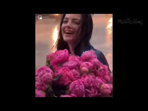 قصيدة الكون عيناك إلقاء احمد مخزومي للشاعر جعفر ماجد