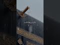 مرحبا اهلا وسهلا بالصيام ادعيه رمضان دعاء دعاء يريح القلوب اللهم صلي على نبينا محمد 