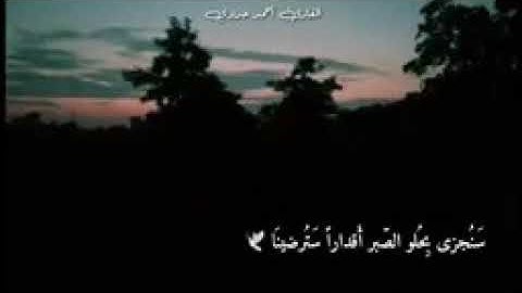 قرآن كريم بصوت القارئ احمد حمادي _ أجمل حالات واتس آب دينية _ تلاوة خاشعة