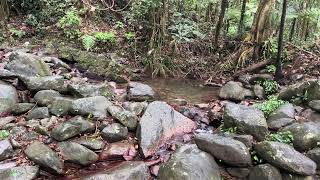 Rippling brook