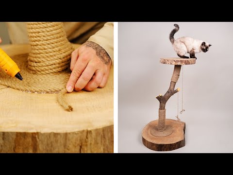 Video: So Erstellen Sie Mit Ihren Eigenen Händen Einen Kratzbaum Für Eine Katze: Eine Meisterklasse, Schritt-für-Schritt-Anleitungen (Diagramme, Größen, Fotos Und Videos)