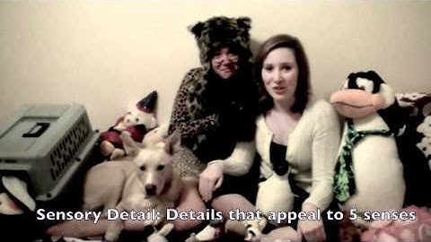 Diction AP Language study guide 2011