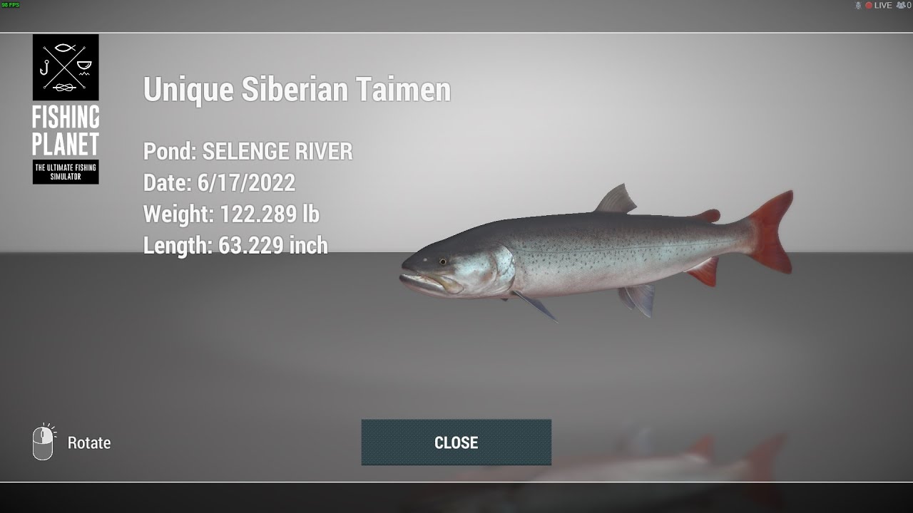 Telmen Fish Fishing Planet How to Catch Siberian Taimen Selenge River - YouTube