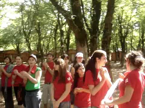 ფრენბურთის ფინალი