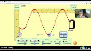 Waves Phet Lab Activity - Part 2